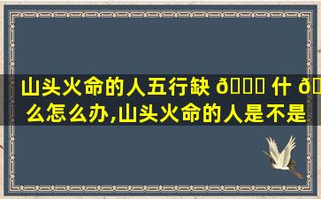 山头火命的人五行缺 🐘 什 🐅 么怎么办,山头火命的人是不是特别不好呀